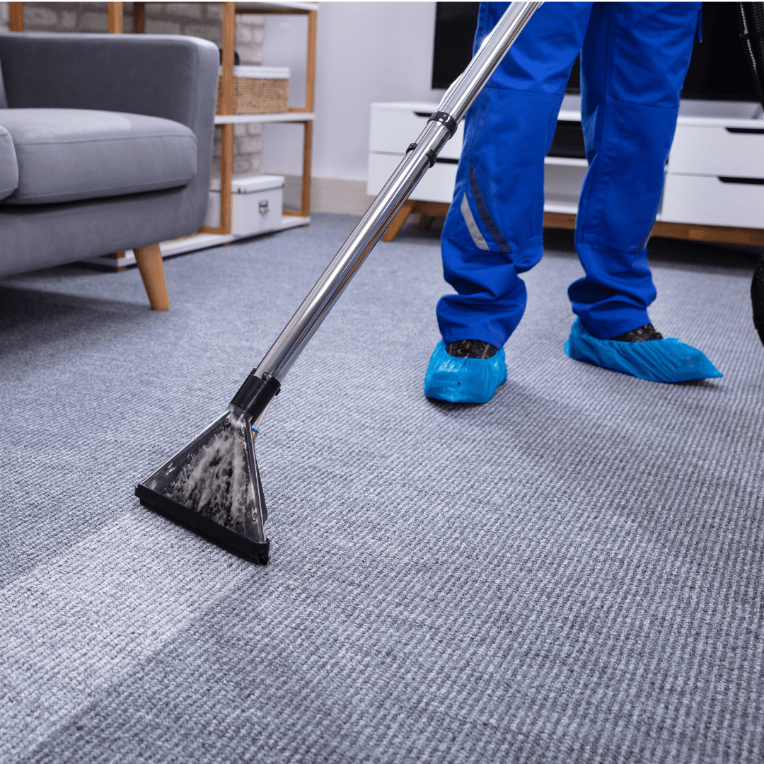 Carpet Cleaning